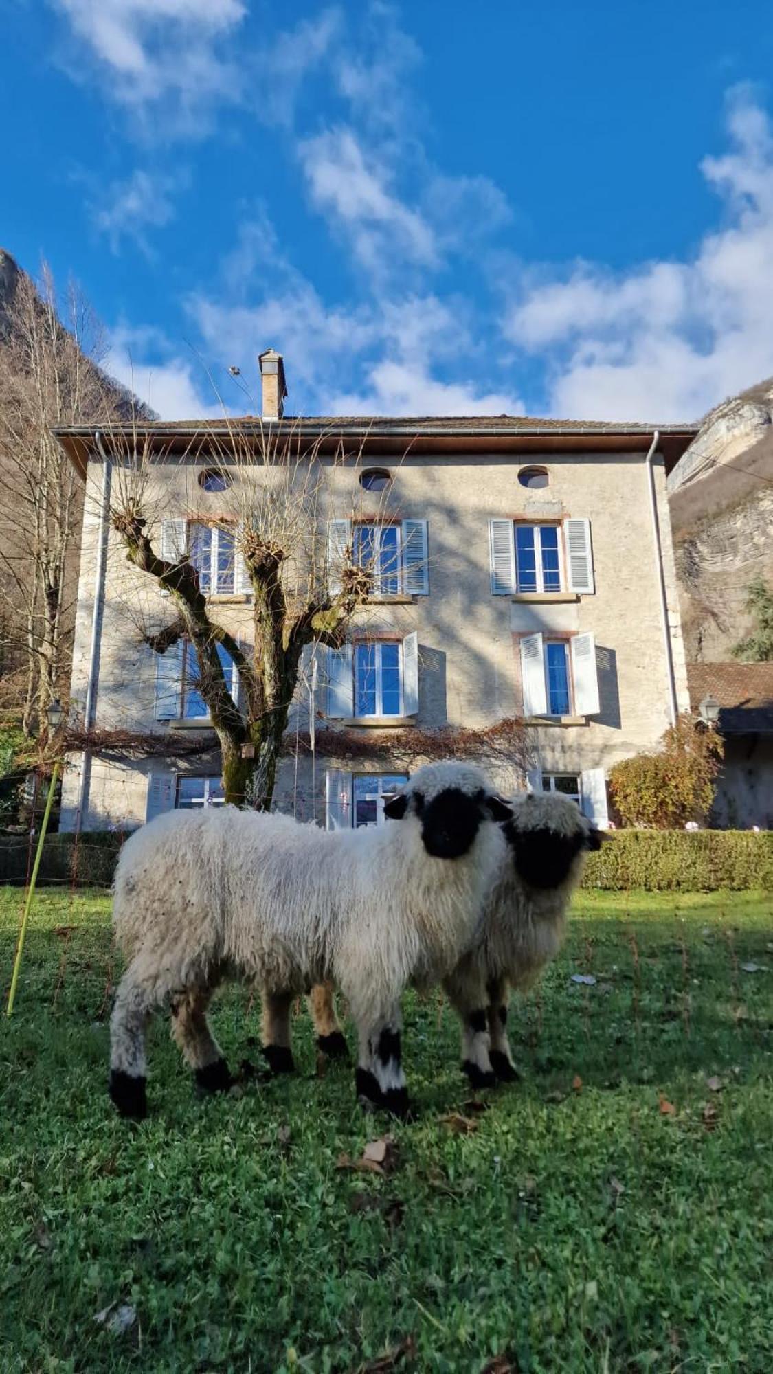 Chateau Monts Blancs Lumbin Экстерьер фото